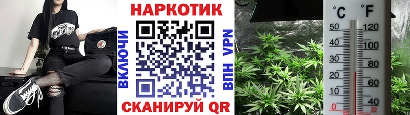 Сколько стоит Южноуральск Лсд 25 КОКАИН ГАШИШ Мефедрон Каннабис APVP АМФ