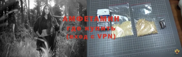 прущие грибы Баксан