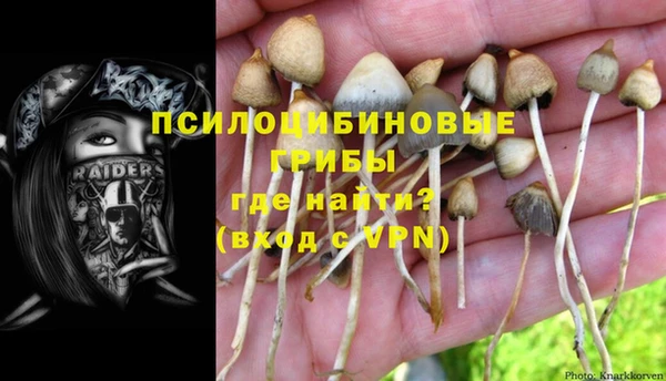 бошки Аркадак
